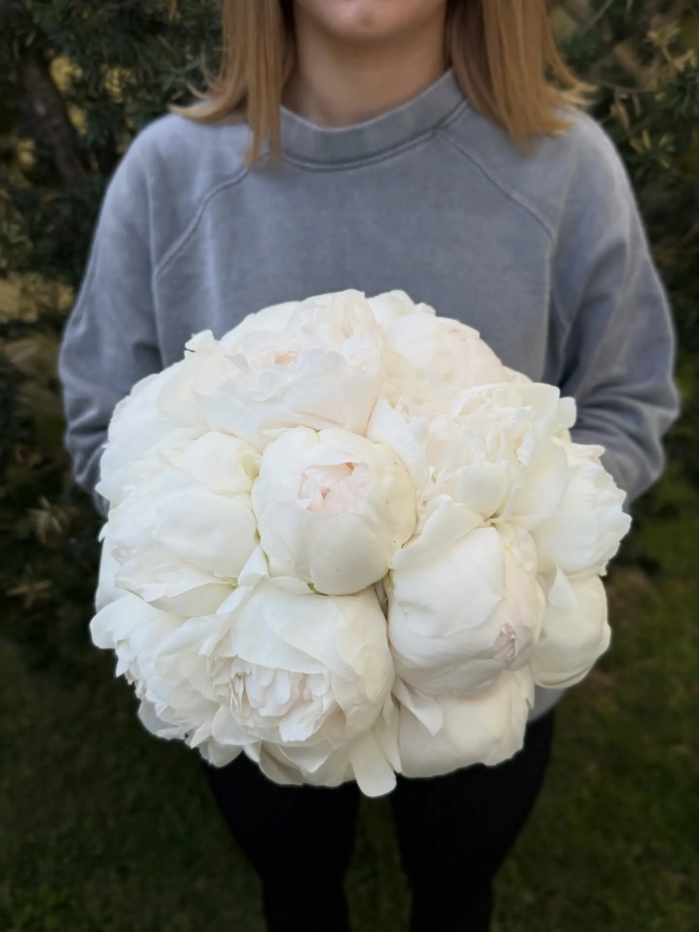 Buchet de bujori albi