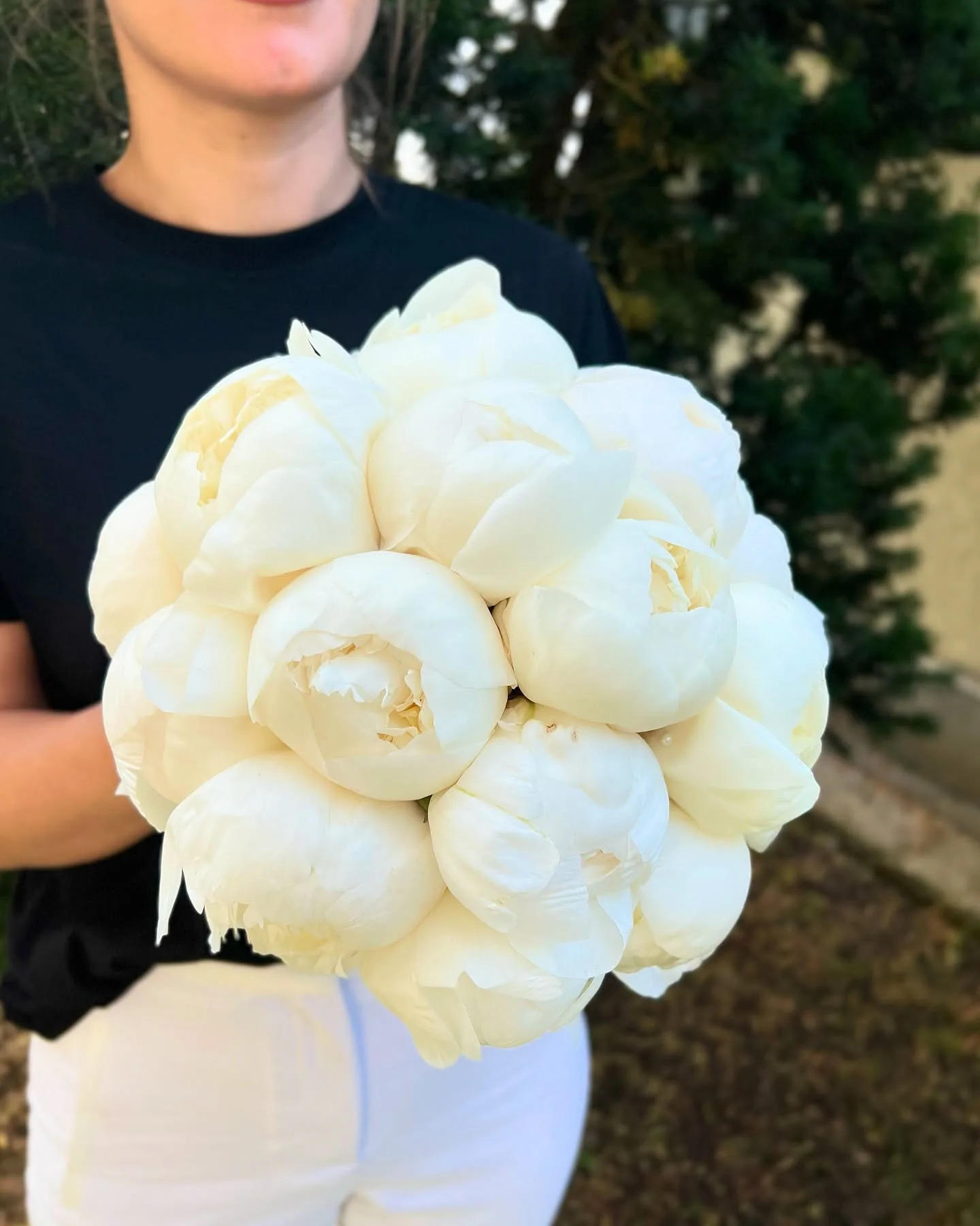 Buchet rotund de bujori albi