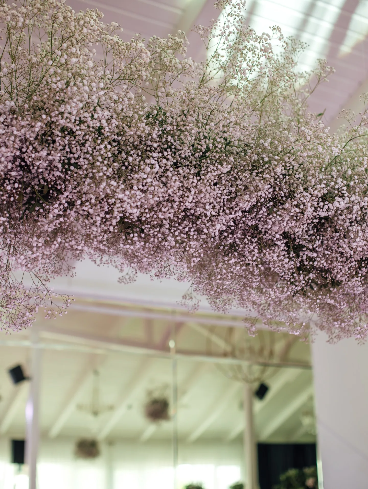 Aranjament suspendat de gypsophila